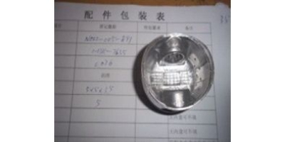 Поршень D52.4